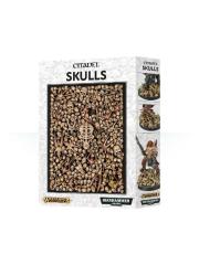 Pittura E Modellismo SKULLS CITADEL