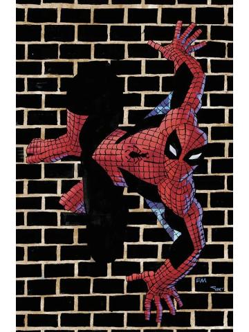 Spider-Man 15/VAR