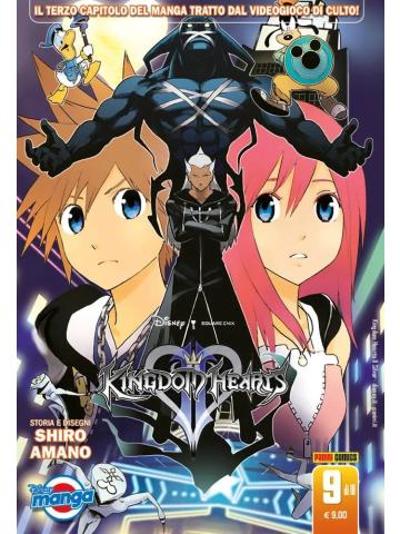 Kingdom Hearts II Silver 09