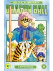 Dragon Ball 34