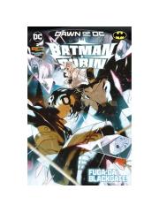 BATMAN E ROBIN 02