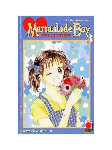 Marmalade Boy Collection 03/R