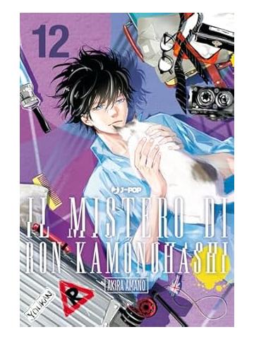 IL MISTERO DI RON KAMONOHASHI 12