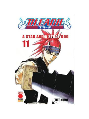BLEACH 11/R5