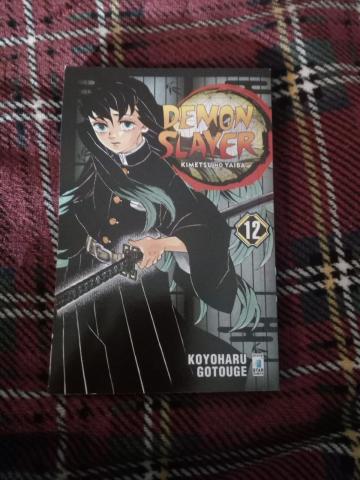 Demon Slayer n.12