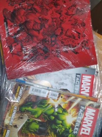 MARVEL FACT FILES +RACCOGLITORE LOTTO