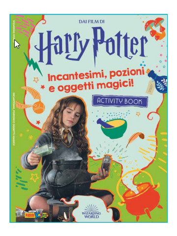 HARRY POTTER INCANTESIMI POZIONI E OGGETTI MAGICI UNICO