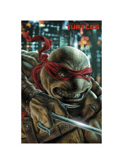 TEENAGE MUTANT NINJA TURTLES DI J.AARON 01/VAR