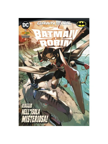 BATMAN E ROBIN 11