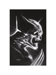 Wolverine 456/01 ADAMANTIUM VARIANT