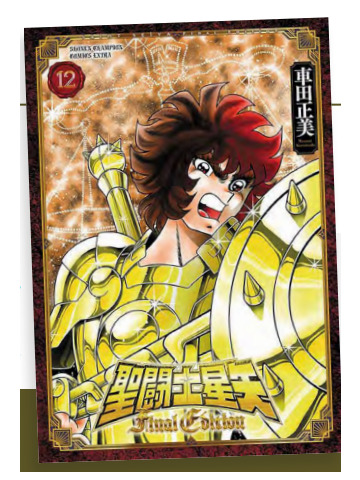 I CAVALIERI DELLO ZODIACO SAINT SEIYA FINAL EDITION 12