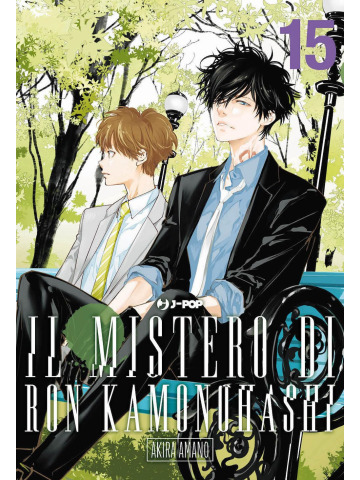 IL MISTERO DI RON KAMONOHASHI 15