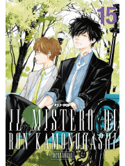 IL MISTERO DI RON KAMONOHASHI 15