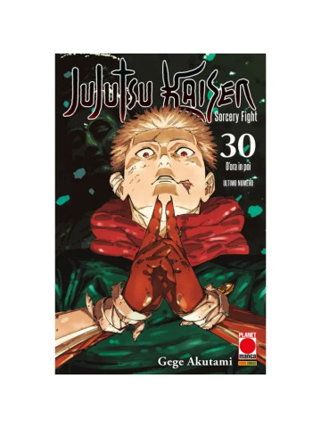 Jujutsu Kaisen Sorcery Fight 30