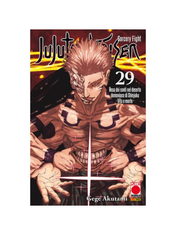 Jujutsu Kaisen Sorcery Fight 29