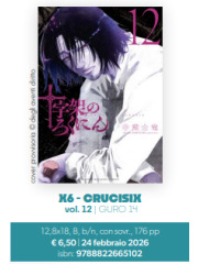 X6 CRUCISIX 12