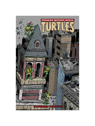 TEENAGE MUTANT NINJA TURTLES GLI ANNI DELLA MIRAGE VOLUME UNICO