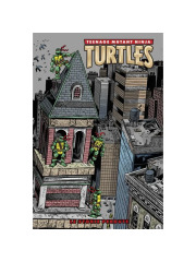 TEENAGE MUTANT NINJA TURTLES GLI ANNI DELLA MIRAGE VOLUME UNICO