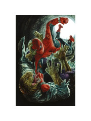 Spider-Man 885/11 VARIANT AMAZING VISIONS DI LEE BERMEJO