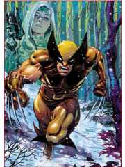 Wolverine 472/14