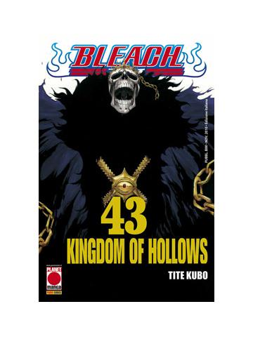 BLEACH 43