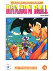 Dragon Ball 33