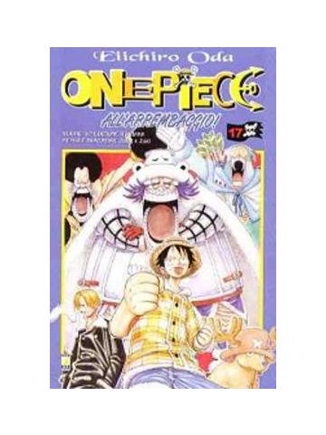 ONE PIECE 17