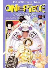 ONE PIECE 17