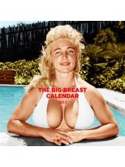 Big Breast Calendar The 2015