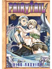 Fairy Tail 45
