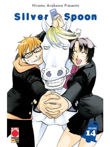 Silver Spoon 14