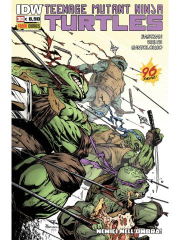 Teenage Mutant Ninja Turtles 30