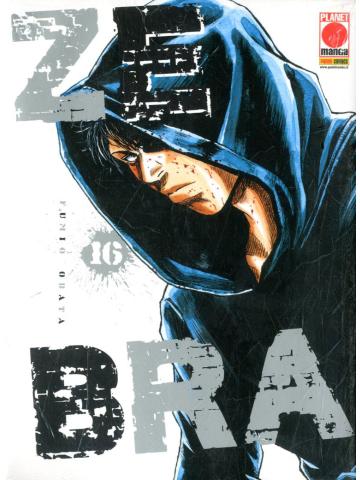Zebra 16