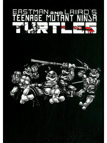 Teenage Mutant Ninja Turtles (001) BOX