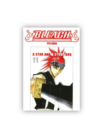 Bleach White Edition 11