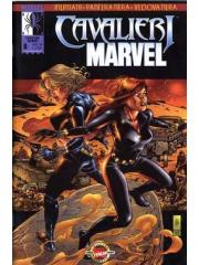 Cavalieri Marvel 06