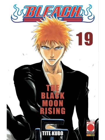 BLEACH 19/R4