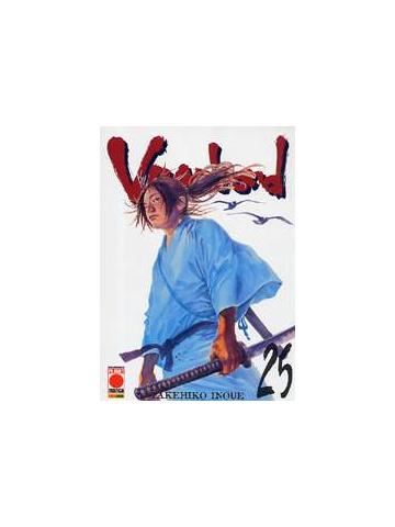 Vagabond 25