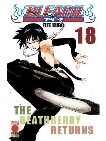 BLEACH 18/R4